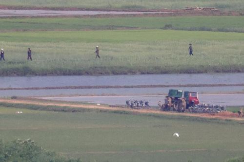 Cuộc sống thanh bình của làng quê Triều Tiên nhìn từ bên kia biên giới