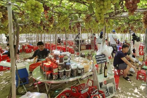 Tăng giá trị trên diện tích sản xuất - Bài cuối: Bài toán nhiều nông dân mong muốn