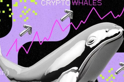 Cá voi đang 'gom' 3 đồng coin sau với tiềm năng tăng giá trong tháng 6