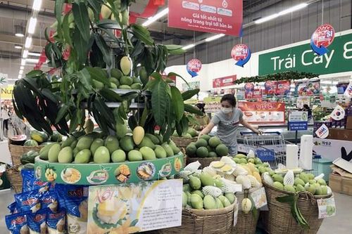 Tấp nập trái cây đặc sản vùng, miền đổ về thị trường Tp. Hồ Chí Minh