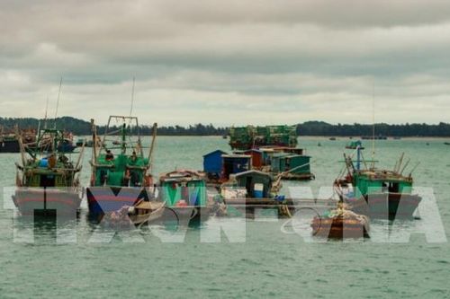 Nâng cao năng lực quản lý nhà nước về thủy sản