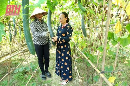 Nâng cao năng lực dự báo thị trường trong sản xuất nông nghiệp