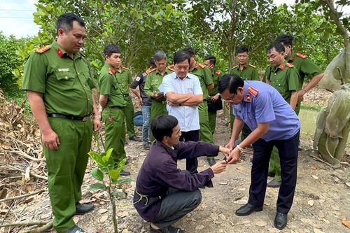 Phối hợp giải quyết tố giác, tin báo tội phạm