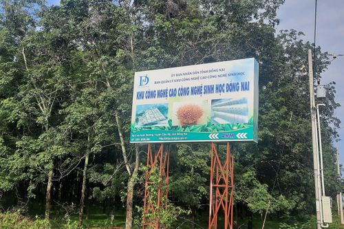 Công ty Vũ Huỳnh liên quan gì đến sai phạm nghiêm trọng tại dự án đập dâng cấp mặt nước suối Cả?