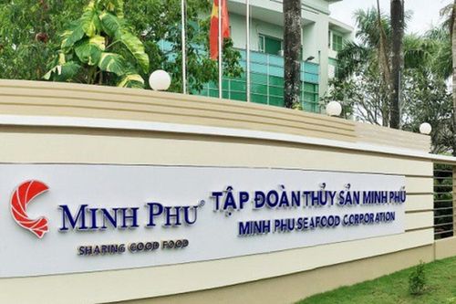 Minh Phú dự kiến chia cổ tức năm 2023 với tỷ lệ 70%