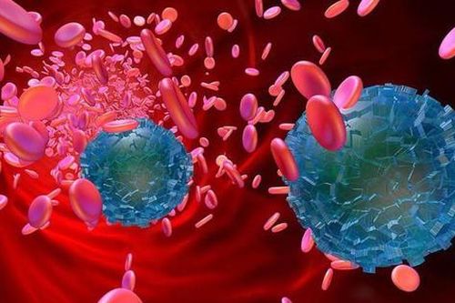 Mỗi năm chúng ta 'ăn' ít nhất 50.000 hạt vi nhựa, vậy nó tác động thế nào đến sức khỏe?