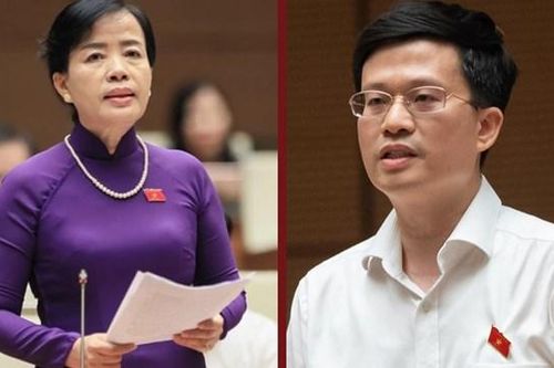 ĐBQH lo lắng vấn đề sách giáo khoa và tăng học phí đại học