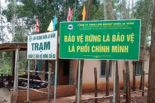 Nhân viên quản lý bảo vệ rừng bị nhóm người lạ đánh đập, bắt quỳ gối