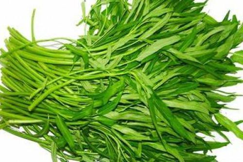 Cách nhận biết rau muống bị nhiễm chì