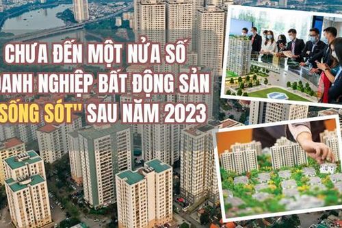 Chưa đến một nửa số doanh nghiệp bất động sản 'sống sót' sau năm 2023