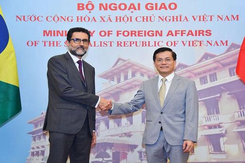 Khai thác tiềm năng hợp tác giữa Việt Nam và Brazil