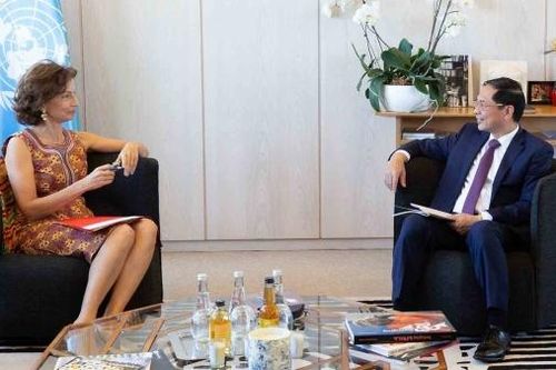 Bộ trưởng Ngoại giao Bùi Thanh Sơn gặp Tổng giám đốc UNESCO Audrey Azoulay
