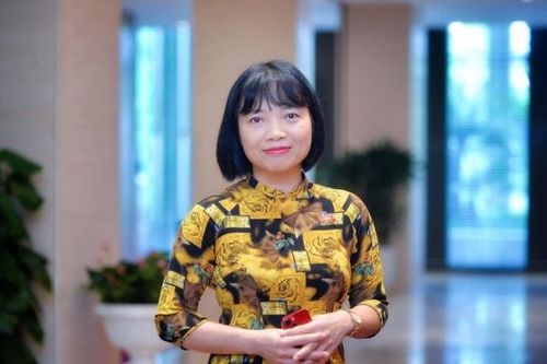 ĐBQH. Nguyễn Thị Việt Nga: 'Nói về bạo lực học đường, khoan hãy đổ lỗi cho trẻ em'