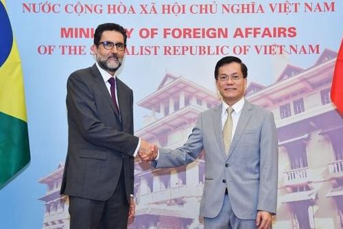 Việt Nam-Brazil hướng tới dịp kỷ niệm 35 năm thiết lập quan hệ ngoại giao vào năm 2024