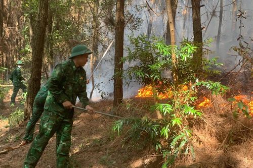 Đồn Biên phòng Quỳnh Thuận phối hợp kịp thời dập tắt cháy rừng