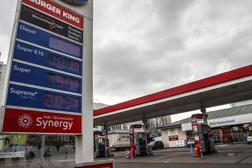 Cơn sốt nhập khẩu dầu diesel sinh học sẽ 'nhấn chìm' thị trường châu Âu?