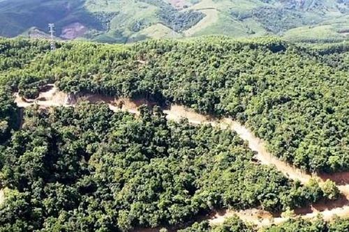 Phó Thủ tướng yêu cầu Quảng Ngãi xác minh, làm rõ vụ phá rừng tự nhiên để mở đường công vụ