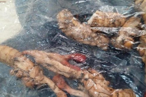 Lý do liên tiếp có nạn nhân ngộ độc khi ăn nấm giống đông trùng hạ thảo