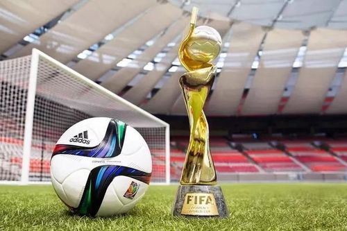 Điểm đặc biệt của 10 sân vận động diễn ra FIFA Women's World Cup 2023