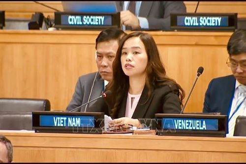 Việt Nam nhấn mạnh khuôn khổ quản lý đạn dược phải phù hợp luật pháp quốc tế