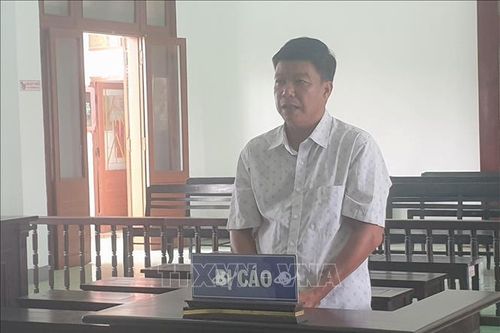Phú Yên: Xử lý nghiêm các đối tượng liên quan đến phá rừng