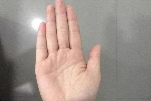 4 dấu hiệu trên bàn tay của người phụ nữ giàu có, phúc lộc hưởng cả đời không hết