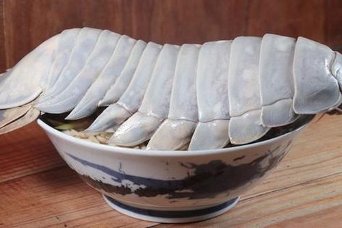 Món mì bọ biển khổng lồ gây sốt: 'Giá chát' nhưng thịt chắc như tôm hùm!