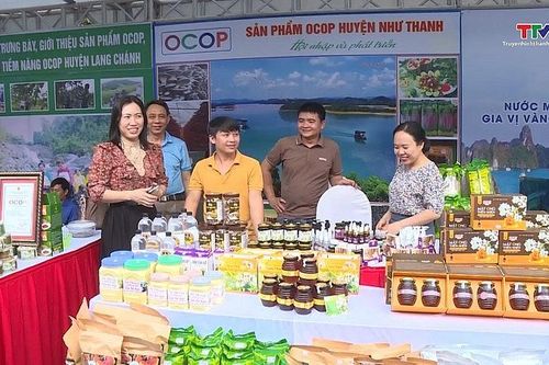 Thanh Hóa: Xây dựng nông thôn mới gắn với chương trình OCOP