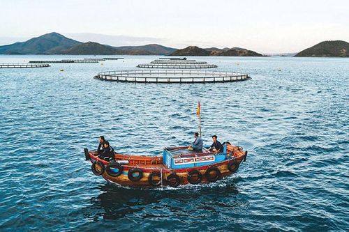 Tạo lập chính sách thu hút đầu tư vào nuôi trồng hải sản trên biển