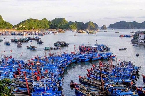 Sớm thành lập Cảng vụ Đường thủy nội địa khu vực V, quản lý hạ tầng, cảng bến thủy khu vực miền Trung