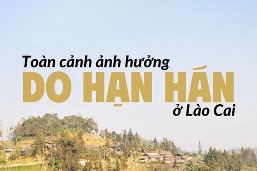 Toàn cảnh ảnh hưởng do hạn hán ở Lào Cai
