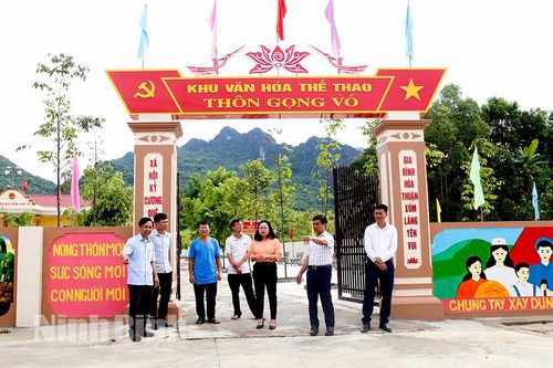Kiểm tra xây dựng nông thôn mới ở huyện Gia Viễn
