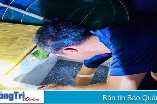 Nghề vớt cá me cho thu nhập khá