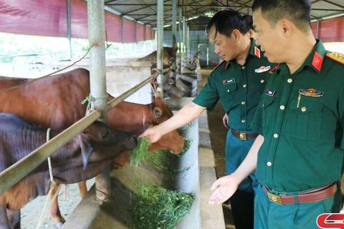 Công tác dân vận ở Đoàn 326