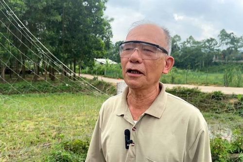 Đảng viên đi đầu trong các phong trào thi đua