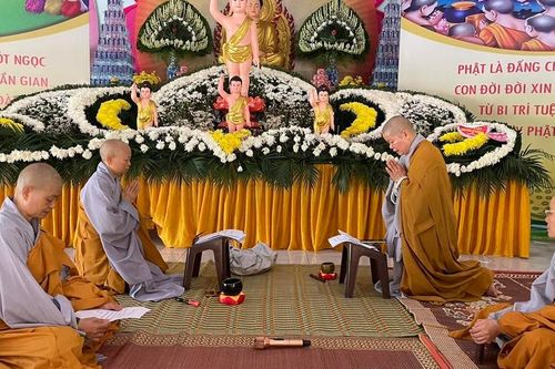 Chư Tăng Ni tỉnh Thanh Hóa, An Giang tác pháp An cư kiết hạ Phật lịch 2567