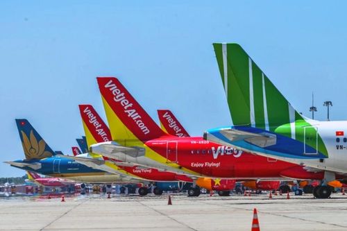 IATA dự báo doanh thu ngành hàng không sẽ tăng mạnh trong năm nay