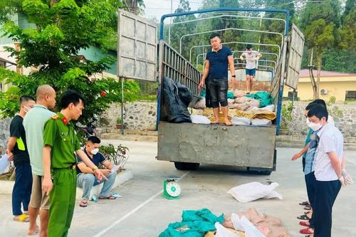 Lào Cai: Bắt hơn 3 tấn thực phẩm 'bẩn' nhập lậu