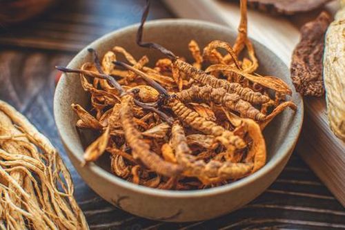 Cách nhận biết đông trùng hạ thảo thật trên thị trường