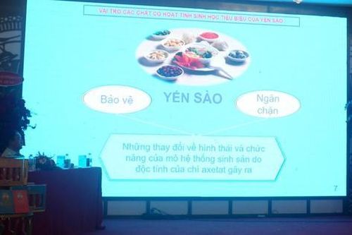 Tinh chất yến sào - lợi ích 'vàng' cho sức khỏe và sắc đẹp