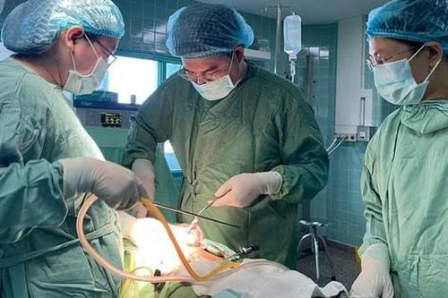 Khối u quái chứa nhiều tóc, da trong buồng trứng người phụ nữ