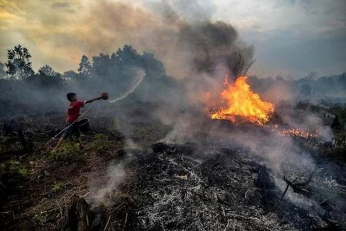 Châu Á trong chảo lửa mùa hè