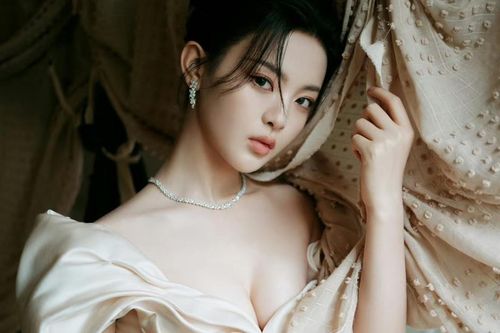 Điều tra công ty mở dịch vụ gặp riêng sao Trung Quốc
