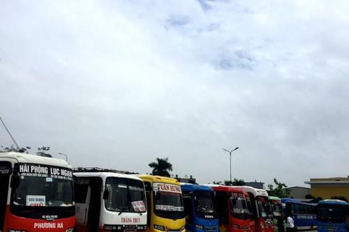 Hải Phòng: Đình chỉ hoạt động 4 tuyến xe hoạt động cố định