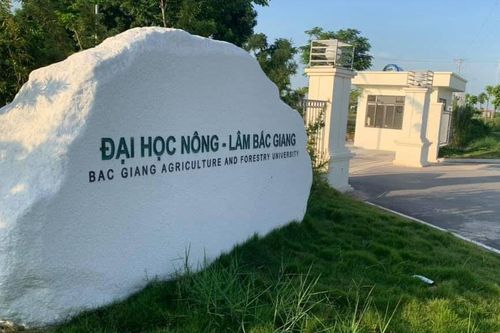 Điều chỉnh nhiệm vụ quy hoạch chi tiết Trường Đại học Nông - Lâm Bắc Giang