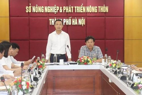 Bí thư Đảng ủy Khối các cơ quan TP: Sinh hoạt chi bộ tránh khô cứng