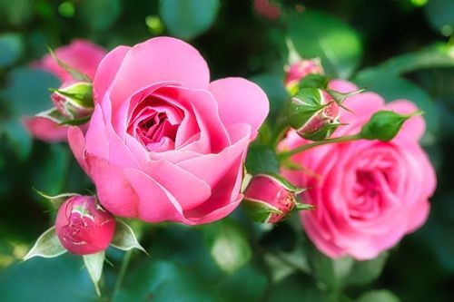 Người có giờ sinh này, ra cửa gặp quý nhân, phúc khí thịnh vượng