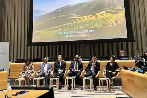 UNDP - Đối tác quan trọng và tin cậy của Việt Nam trên con đường phát triển và hội nhập