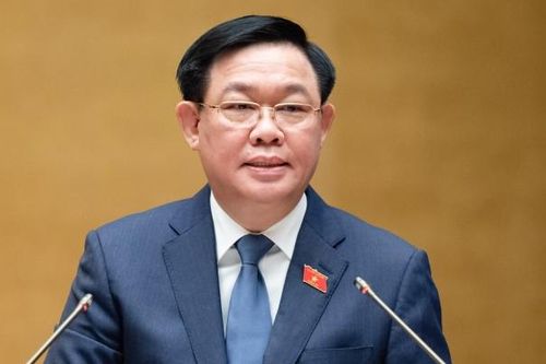 Phải bảo đảm tất cả diện tích rừng phải được giao, cho thuê đến những chủ rừng thực sự