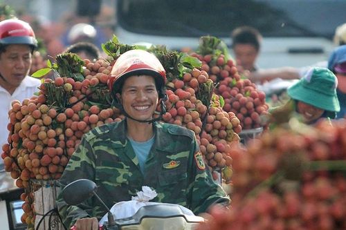 Chất vấn 2 Bộ trưởng, đại biểu hy vọng vải thiều Bắc Giang sẽ tốt lên